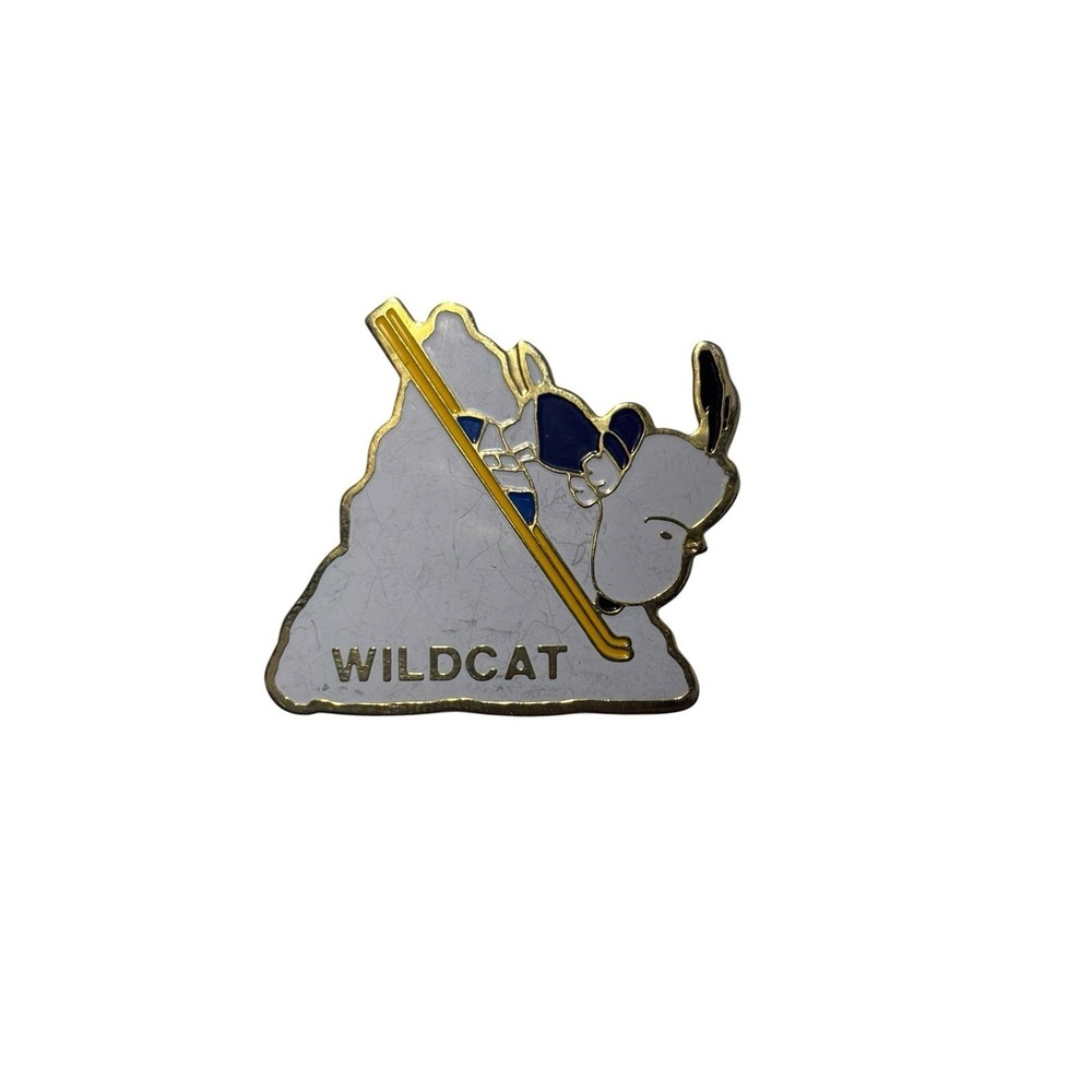 Vintage 1958 Gold Tone Enamel Wildcat Mountain‎ Skiing Peanuts Snoopy Brooch Pin